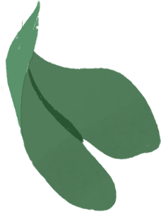 الصورة نفسها مصحوبة برسم توضيحي لهيكل MacBook Air وتتدفق من شاشته أوراق شجر خضراء.