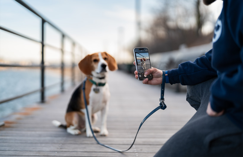 Evcil hayvan sahipleri için oluşturulan karneler, iPhone’un olağanüstü kamera kalitesi sayesinde daha şık ve güzel oluyor.
