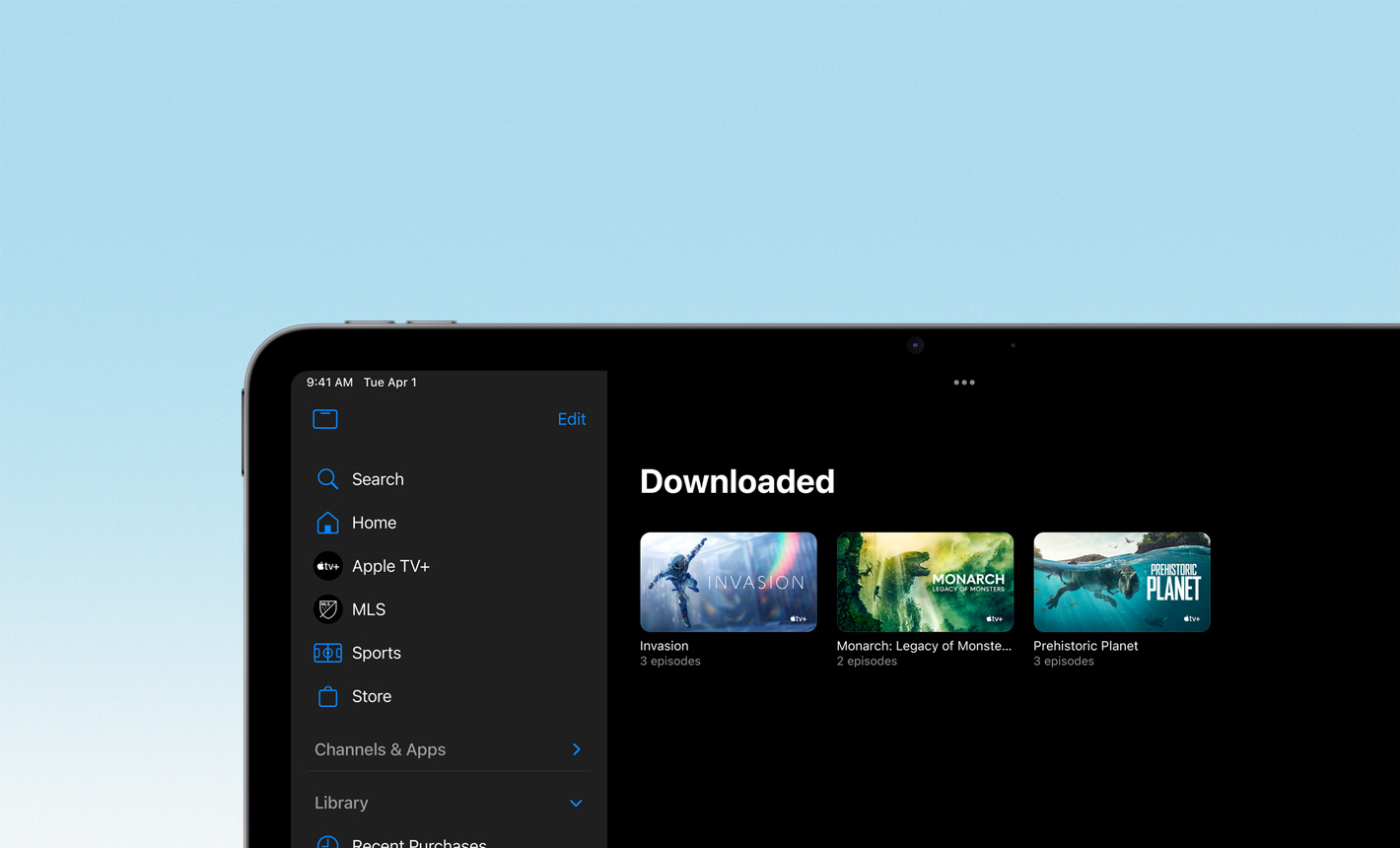 Downloaded movies and shows